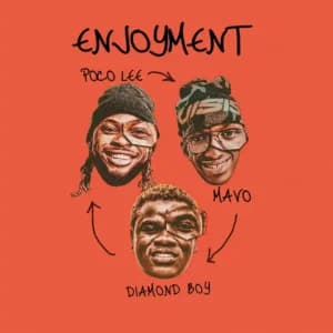 ENJOYMENT by Poco Lee, Mavo, Diamond Boy